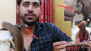 "सपेरे क्यों सिलते कोबरा का मुंह" | 'SnakeCharmer who Glued & Stitched Cobra's Mouth'