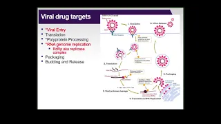 Antiviral drugs and biologics to treat and prevent SARS COV-2 infection