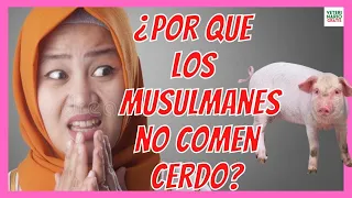 🧕🏼 ¿PORQUE LOS MUSULMANES Y JUDIOS NO COMEN CARNE DE CERDO?🧕🏼