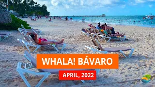 Whala! Bávaro, Punta Cana - Is This Hotel Worth Its Money in 2022?