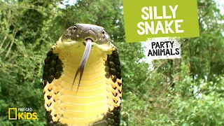 Silly Snake feat. Parry Gripp (Music Video) 🐍 | Party Animals