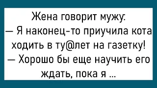 💎Два Приятеля Идут По Улице...Большой Сборник Смешных Анекдотов,Для Хорошего Настроения!