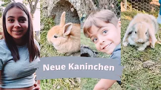 Neue Kaninchen kaufen   Horror Fahrt   Vlog Rosislife