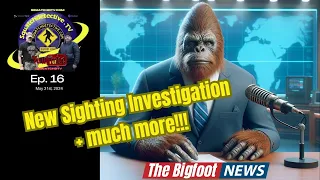 🔴New Bigfoot Investigation + Much More! /The Bigfoot News [Ep.16]