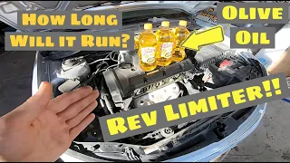 Will it Run On Olive Oil? Shocking Results! Cooking Oil for Engine Oil.