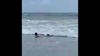 North Myrtle Beach shark startles girl swimming in ocean