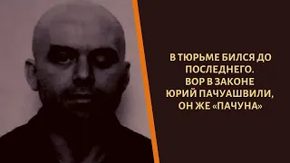 Всегда бился до последнего! Вор в законе "Пачуна"