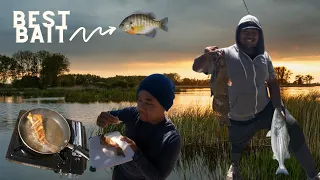 Fishing for Striper, Catfish and Bluegill at Stockton CA, Canals  (Hook&Cook) 2021