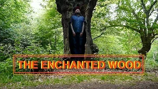 Enchanted Wood in Buckhurst Hill