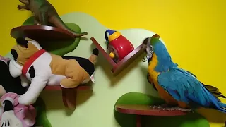 Ручной попугай играет с мягкой игрушкой