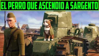 HISTORIA REAL -  EL PERRO QUE ASCENDIÓ A  SARGENTO - SARGENTO STUBBY RESUMEN EN 10 MINUTOS