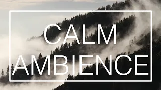 CALM AMBIENT MUSIC / relaxing music for yoga and meditation to calm down and take a rest.