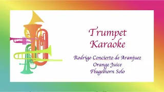 Rodrigo Concerto D'Aranjuez 'Orange Juice' Trumpet Karaoke Playalong Flugelhorn Solo