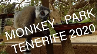 Развлечения на Тенерифе. Monkey Park. Парк обезьян.