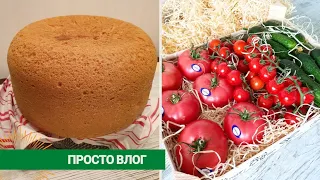 Заказала Овощи из Теплиц Гордій, Пеку хлеб, Фаберлик и Поросята