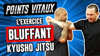Points Vitaux : L'exercice BLUFFANT pour tester ton énergie (Kyusho Jitsu) #2