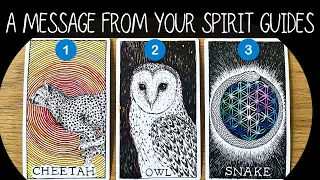 A Message From Your Spirit Guides!!✨🔔💌✨ Pick a card⎜Timeless