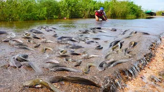 Best Fishing Video! Catch a lot of fish on road when flooding water-Best hand fishing 2022