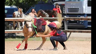 Pony Master Show - Due Di Picche | Chiara Durante