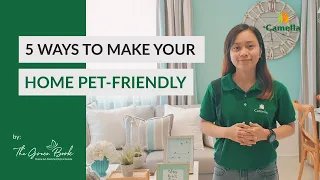 5 Ways To Make Your Home Pet-Friendly | The Green Book