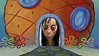 Who lives in a pineapple under the sea? MOMO