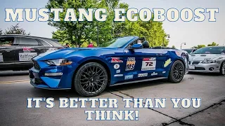 Mustang EcoBoost 2.3 Why all the Hate?