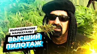 Высший пилотаж выращивания марихуаны, Хорхе Сервантес | Озвучка Dzagi | Ultimate Grow Rus, 720