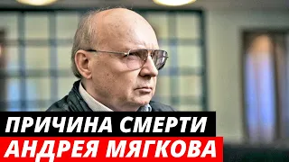 Названа Причина Смерти Андрея Мягкова