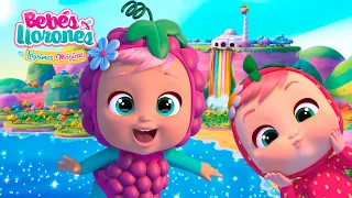 🍉 Descubriendo Bahía TUTTI FRUTTI Parte 2 🍇 BEBÉS LLORONES 💧 LÁGRIMAS MÁGICAS 💕 NUEVO Episodio