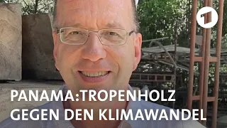 Tropenholz gegen den Klimawandel