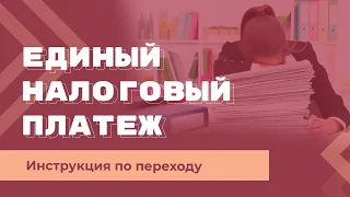 Единый налоговый счет и единый налоговый платеж - 2023. Как перейти? Пошаговая инструкция.