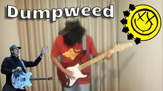 Blink 182 - Dumpweed (Reading 2014) guitar cover