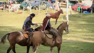 Hay fiesta en el pago - viernes 21:00 / sábado 12:30