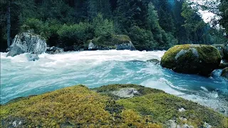 Lofi to Flow with Water 🎧 🎵  Detox Your Mind & Soul...