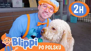 Opieka nad zwierzętami |  Blippi po polsku 🔶 Nauka i zabawa dla dzieci