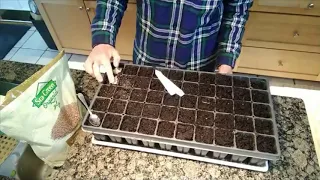 How To Start Tomato and other small seeds