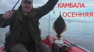 КАМБАЛА ОТБОРНАЯ ОСЕННЯЯ!!!