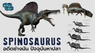 SPINOSAURUS: เมื่อก่อน (อาจจะ) เคยร้าย หรือสุดท้ายจะเป็นไอ้ต้าว