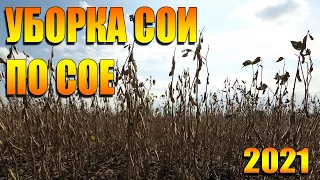 Уборка сои 2021.