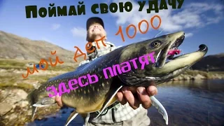 river-fishing2016 экономическая игра обзор