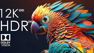 12K HDR 120fps Dolby Vision with Calming Music (Colorful World Animals)