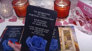 💘SOMEONE AWAKENS TO A PERFECT NEW LOVE😲EXCITED ABOUT YOU & NOT SETTLING THIS TIME💮🌷🌷 LOVE TAROT ✨