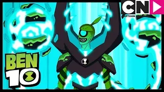 Ben 10 Po Polsku | Dzikie Pnącze ⚡️| Bitwa pod Wielkim Koszem | Cartoon Network