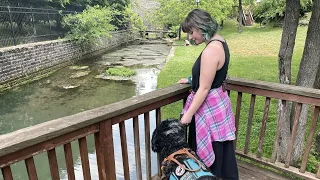 Woman threatens lawsuit over service dog argument