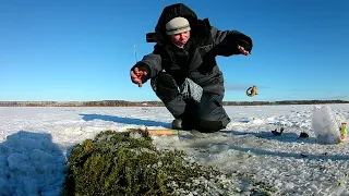 ПЕРВЫЙ ЛЁД, Мутанты на крючке