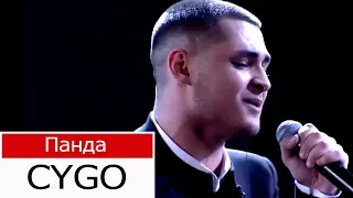 CYGO, Панда