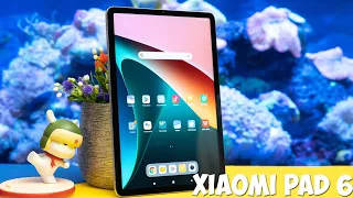 Xiaomi Pad 6 обзор характеристик