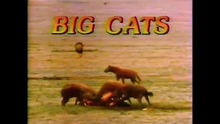 The Big Cats (1974) (1987 Edited Version)