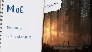 Моё мнение-Life is Strange 2 (1 эпизод)