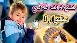 خلودة اهتم بالهامستر فلافي يوم كامل(أخدناه مشوار😱)